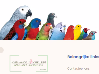 Vogel handel Beernaert
