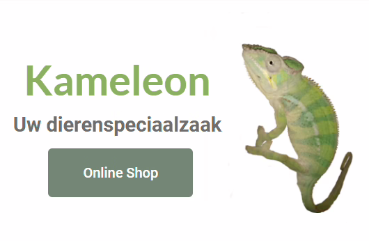 Dierenspeciaalzaak Kameleon